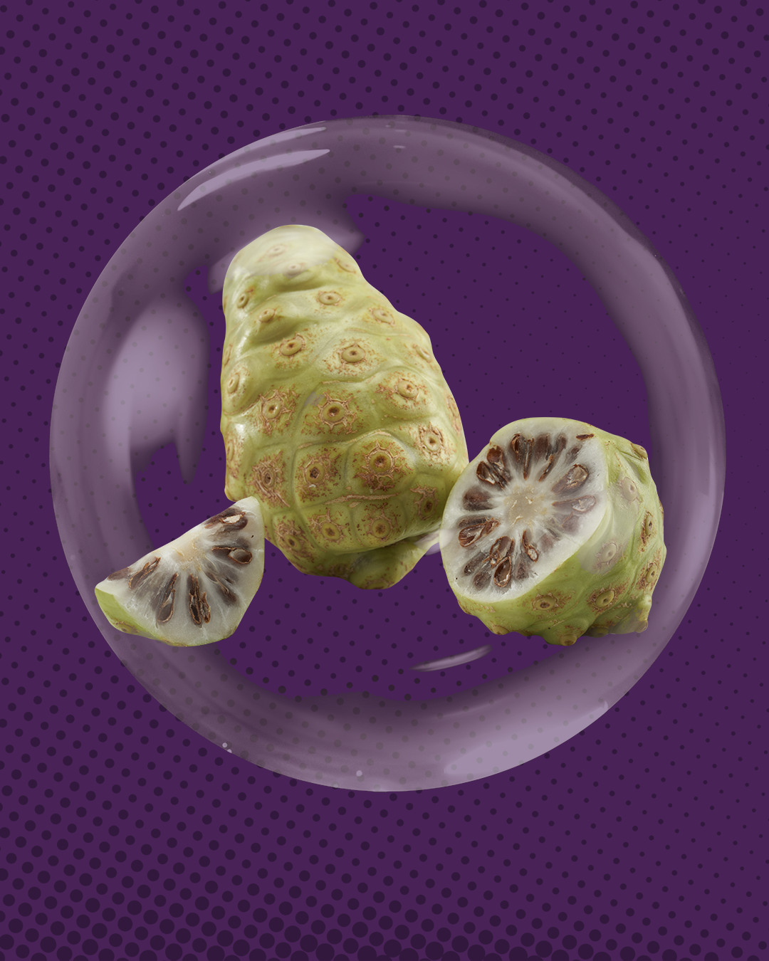 Morinda Citrifolia Fruktus Ekstrak (Mengkudu)