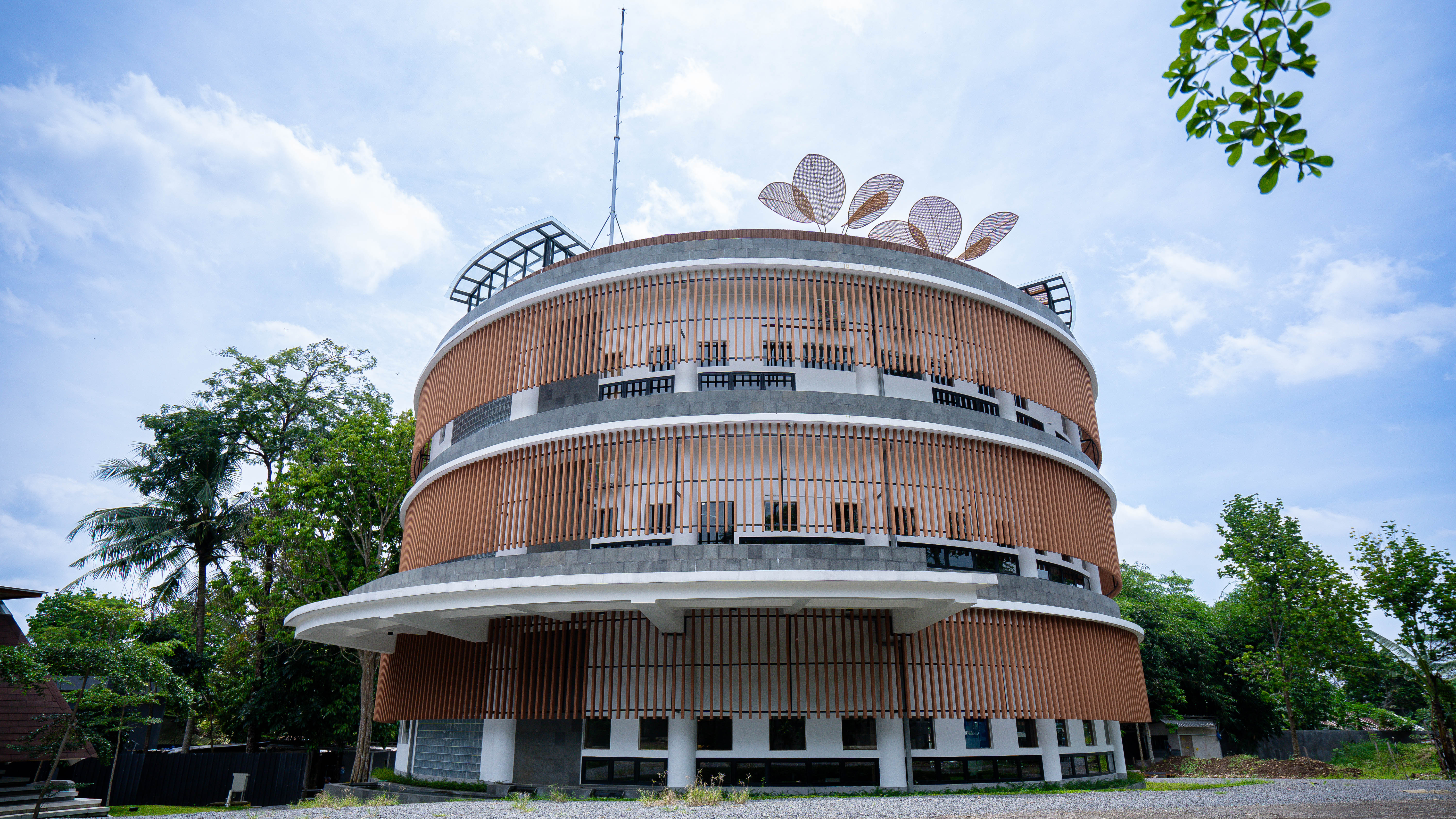 History Background 1