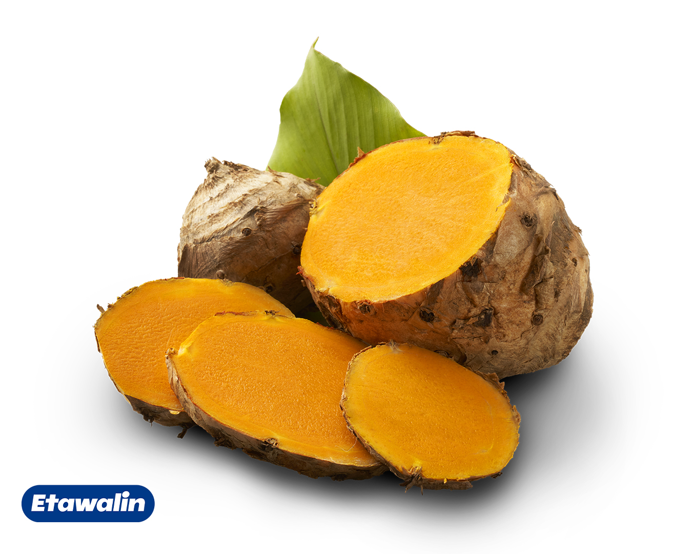 Curcuma Xanthorrhiza